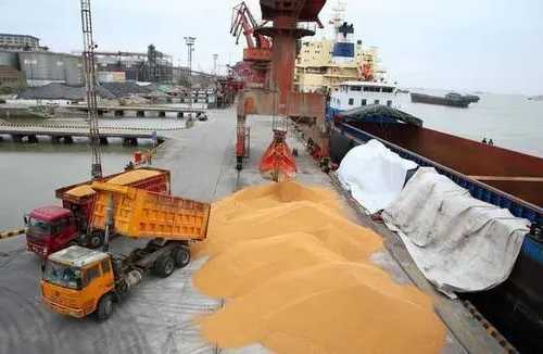 巴西堵港影响出口 豆粕供应或低于预期